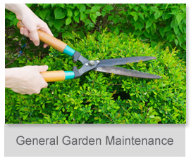 General Garden Maintenance